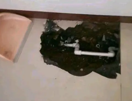 旌德卫生间测漏水多少钱